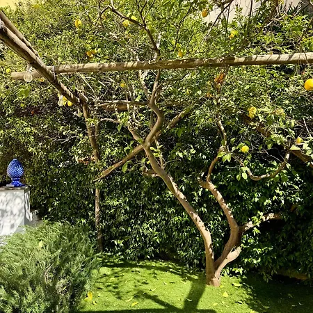 Marilise - La Maison Blue Private Garden & Terrace * 메타