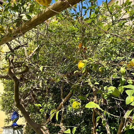 아파트 Marilise - La Maison Blue Private Garden & Terrace 메타