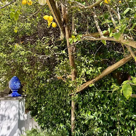 Marilise - La Maison Blue Private Garden & Terrace * 메타