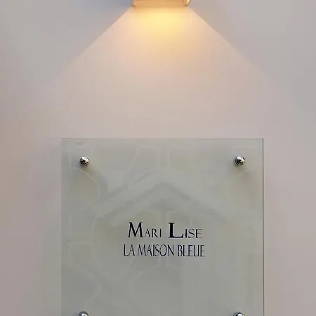 Marilise - La Maison Blue Private Garden & Terrace Apartament